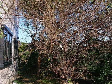 便利屋ニーズ 下妻店の【損害保険加入済で安心】作業外注ありません★年中無休◎24時間営業です!の写真
