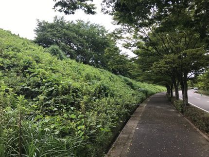 おそうじベースの草刈り(草刈り機)の写真