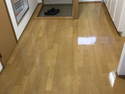 掃法皆伝の忙しいお客様の代わりに!高品質在宅クリーニングの写真