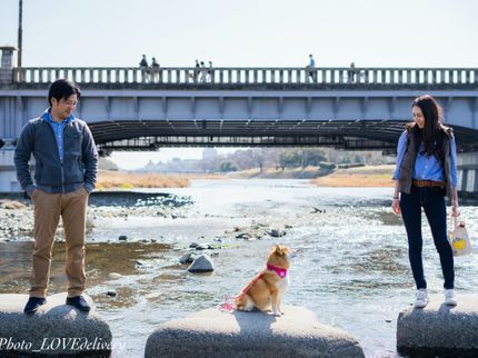 写真館YOU愛便の<年間100件以上の撮影実績あり>お客様のご要望に合わせて丁寧に撮影します。の写真