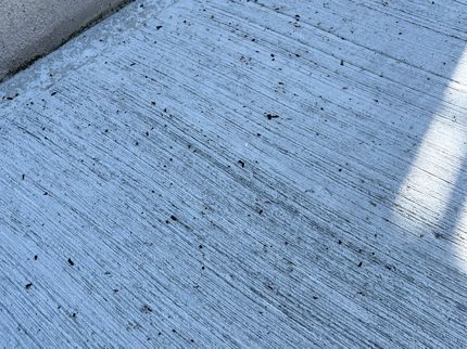 (株)エービーエフコーポレーションのコウモリ駆除の写真