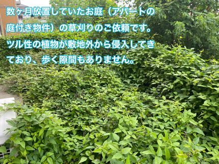 GREEN BASEのモーター式の草刈り機導入!騒音無しだからご近所さんに迷惑かけませませんよ♪の写真