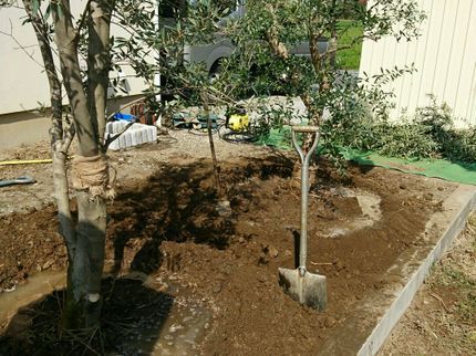 植木屋さん宮澤の【実績15年!】《保険加入有》北関東ほぼ対応★安全第一!お任せください!の写真