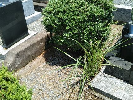 武井運送店の【まだまだ8月9月10月ご予約絶賛承り中です】お墓参り清掃代行サービスの写真