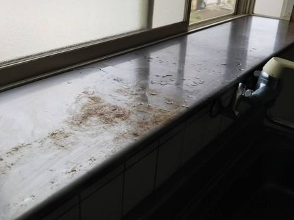 株式会社ベストクリーンジャパンの【料理が楽しくなるキッチンクリーニング】の写真