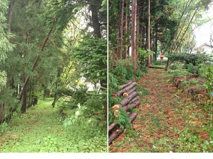 地域の何でもお助け隊の【年中無休】地元密着で全力でお手伝いさせていただきます!剪定・造園幅広く対応可◎の写真