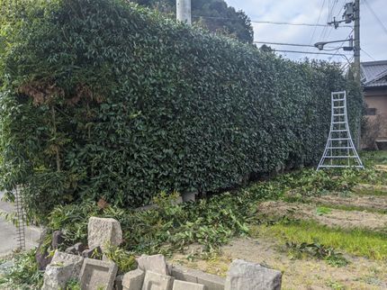 西川草去園の【コロナ対策】【立ち合い不要・可】伸び放題の植木はありませんか?の写真