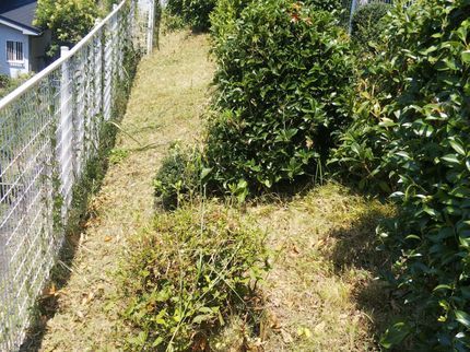 中己出造園のお庭や空き地等の雑草の管理をしますの写真