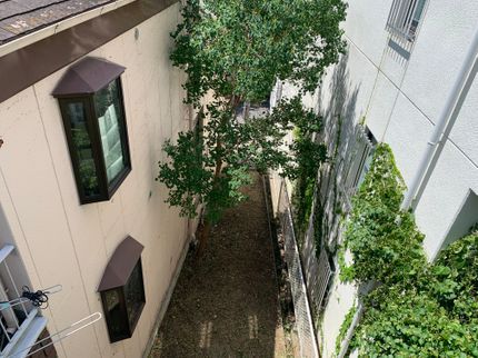 中澤造園の《有料P代全額負担》お庭のお困りごとをスッキリ解決!仕上がり保証ありで安心◎の写真