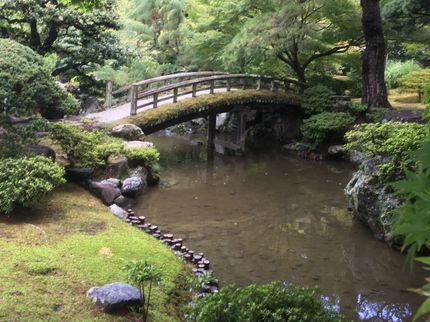 庭師 小谷田の草刈り・剪定◇年中無休◇実績多数!「理想の庭園」をお客様と共に造りますの写真