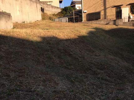 株式会社PMSの草刈り・除去サービス【奈良・京都南部限定】の写真