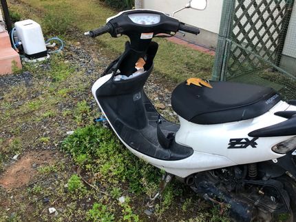 サクセス企画の【損害保険加入済み◎】お荷物運びますฅ(>ω<*ฅ)ニャの写真