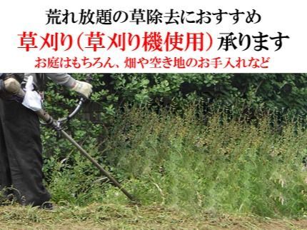 RT-JPNのTEL不要 「PayPay、カード払い可」 草刈り作業(草刈り機)お任せくださいの写真
