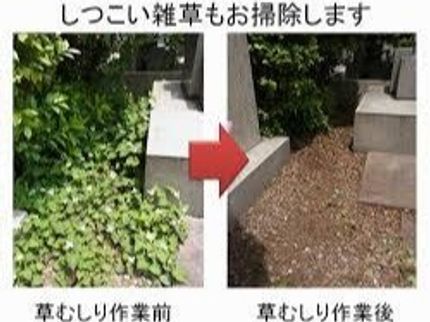 パワーマンの貴方に代わってお墓参り(清掃)の写真
