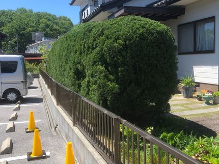 神谷造園の<業歴32年のベテランスタッフが出向>京都府から伺います!駐車場代は当社負担◎の写真