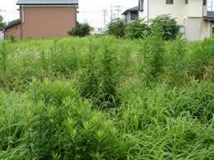 株式会社 シーズの【大分市から出向】お庭から、大きな空き地まで!地域は相談OK!の写真