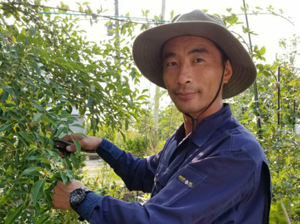 矢羽田ガーデン工房のお庭の事のおまかせ下さい! 1級造園技能士 県知事賞受賞 必ず私が伺います!の写真