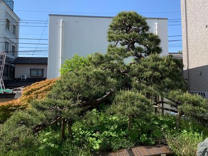 一護屋の【作業外注一切なし】損害保険加入済み◉営業時間外も相談OK!の写真