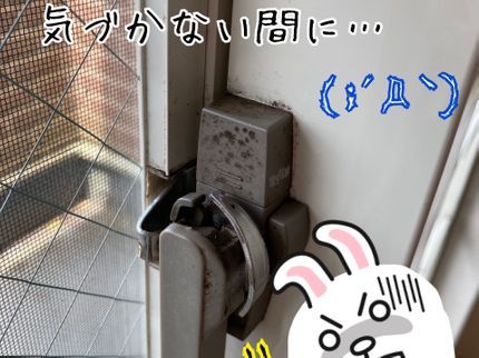 トータルエッジクリーンサービスの現場のプロが対応致します!女性スタッフ同行可能◎の写真
