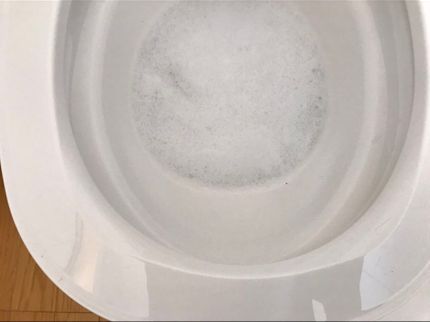 ホワイトクリーンサービスの大人気!業務用強力薬剤で輝くトイレに!天井から便器の裏の床まで全て磨き上げます!の写真