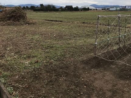 地域密着《便利屋》の《三重県・地域密着》空き地・お庭などの草刈り!僕達にお任せ下さい!の写真