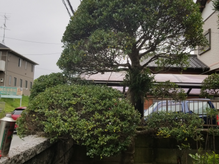 南総美堅の◎女性スタッフ同行可能◎約10年の経験を生かし、当社が責任持って作業いたします!の写真
