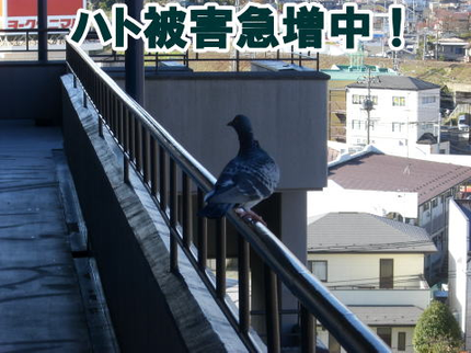 株式会社トゥルーテックの【損保加入・完全自社施工で安心安全】土日祝も対応・クレジットカード使用可能◎の写真