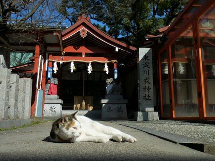 沖野秀人の大阪近郊で各種記念撮影等お引き受けします。の写真