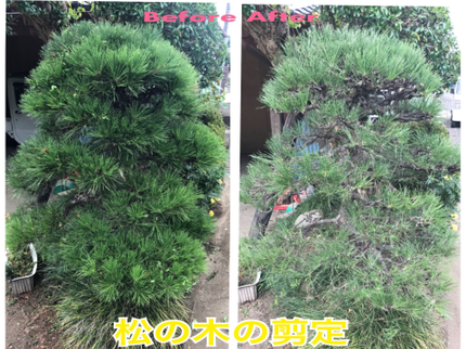 Kamoshida Gardenの【安心の経験実績】年中無休☆営業時間外・対応地域外も予約可能♪作業外注なし◎の写真