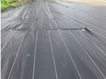松村造園のお客様にご満足いただけるよう、ご要望に真摯に精一杯取り組ませていただきます!の写真