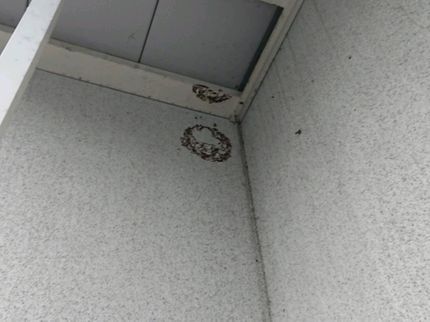 K's工房の誠実、安心をモットーに活動しています!現地無料見積りから実施致します。の写真