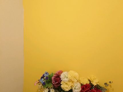 メリハリのある司会をします!のラッキー風水鑑定 壁紙の張替え 【女性限定!】の写真