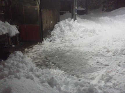 庭木の剪定 匠の(土日祝日限定)ご指定の場所の雪かき・雪おろし/作業員1名の写真