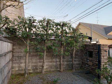 リョクケイの<自然風剪定>樹木の特性に合った剪定施工☆造園施工管理技士所有☆の写真