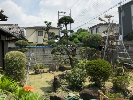 尾西吉松園のお庭のお手入れ、剪定はお任せください!営業時間外も相談可能!有料P代当社負担!の写真