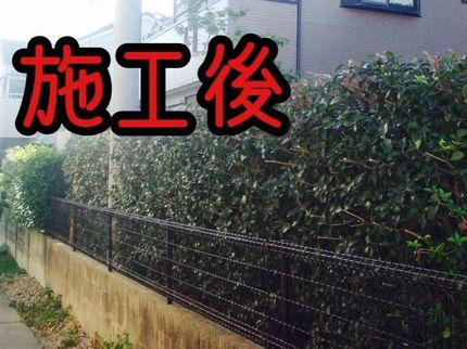 生活総合サービス まるもの【三重県発】植え込みの剪定・刈り込みを承ります!地域密着で迅速な対応が可能です!の写真