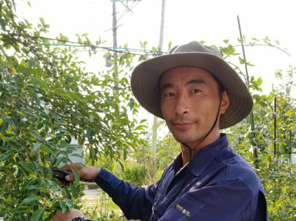 矢羽田ガーデン工房のお庭の事のおまかせ下さい! 1級造園技能士 県知事賞受賞 必ず私が伺います!の写真
