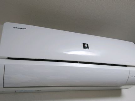 LIONの☆2021年2月ご予約受付中!!の写真