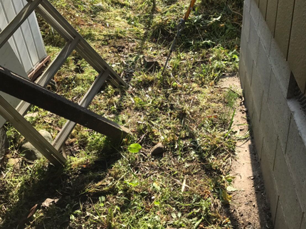 カンパニージャのPayPay払い対応可!お客様のご要望に迅速・丁寧にお応えいたします!の写真