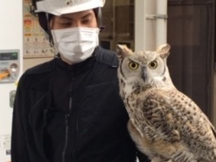 福岡害鳥駆除センターの【有資格者がお伺いします】ハト駆除・・・わな猟(箱わな)、網猟の写真
