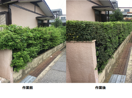 WORKS TSUKUBAの実家は農家の店長の機械刈込!の写真