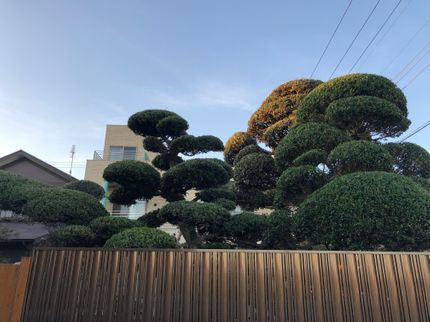 熱田園緑化の《創業30年の園芸店》綺麗なお庭作りをお客様と一緒に◎女性スタッフ在籍!の写真