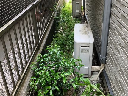 ぽのクリーンの手作業での草むしりを真心込めて行います★体力には自信があります!の写真