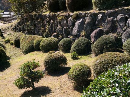 岩尾造園╱大分エコサービスの【店長の私が伺います◎】 剪定をしてお庭も気分もスッキリ♪しませんか?の写真