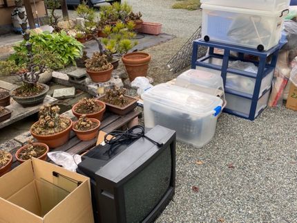 クリアテラスの生前・遺品整理を良心価格保証します♪お客様満足度98% 特殊清掃もお任せ下さい!の写真