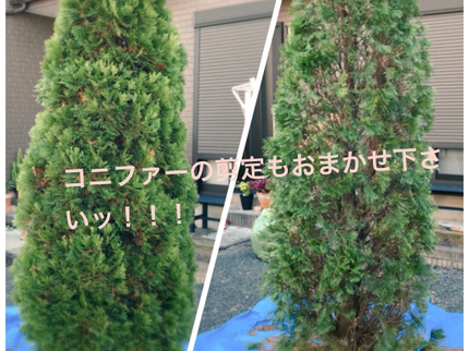 Kamoshida Gardenの【安心の作業実績】年中無休☆営業時間外・対応地域外も予約可能♪作業外注なし◎の写真