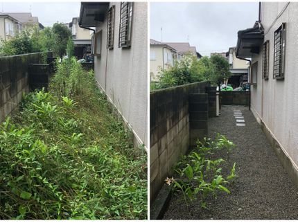 弥栄苑の草だらけで手に負えなくなったお庭 綺麗にいたします。の写真