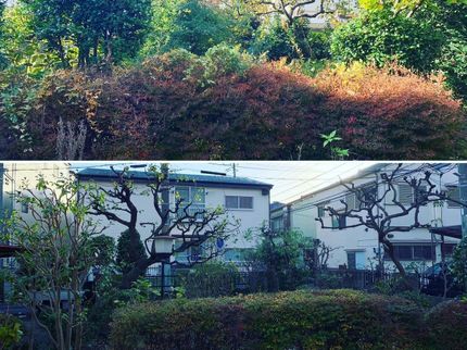 便利屋 SKETCEの【年中無休】外注作業一切ございません!お気軽なご相談も承ります◉の写真