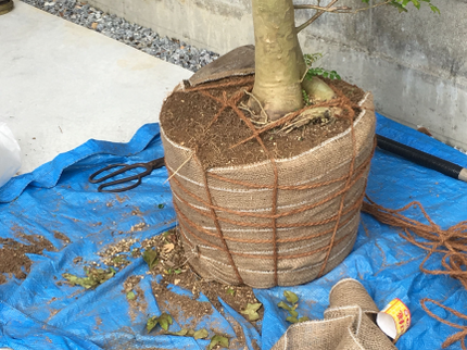 Y's Gardenの【英語対応可!】駐車場代は自社負担◎作業に納得いただけない場合は無料で追加対応の写真