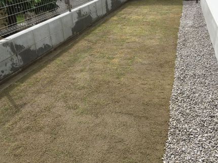 株式会社乃庭の【登録間もない為サービス価格実施中】小さなお庭のリノベ、植木剪定お任せください!の写真